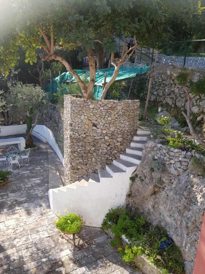 La Limonaia E La Praia Băile Herculane Dış mekan fotoğraf