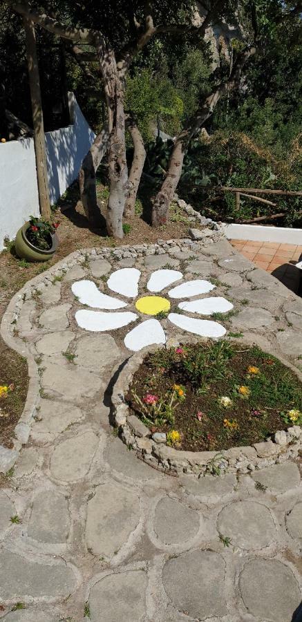 La Limonaia E La Praia Băile Herculane Dış mekan fotoğraf